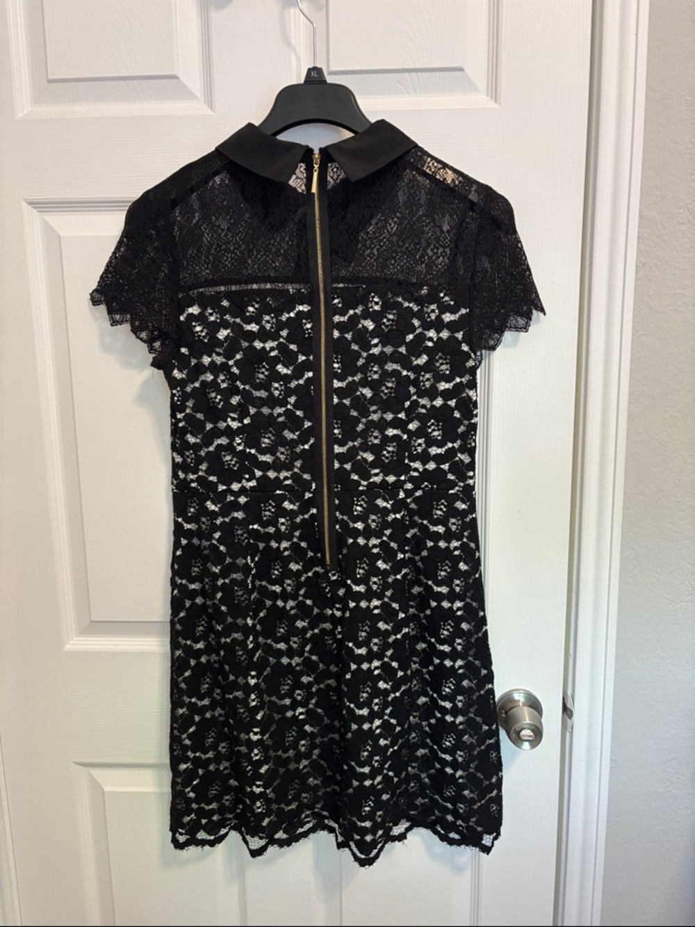Kensie Black Lace Mini Dress with Peter Pan Collar - Picture 4 of 4